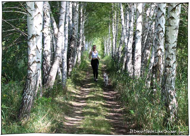 一锅,20分钟,无麸质素食,大蒜柠檬西兰花意面!这种超级快速简单的食物非常适合忙碌的工作日晚上,或者长跑后补充碳水化合物。# itdoesnttastelikechicken